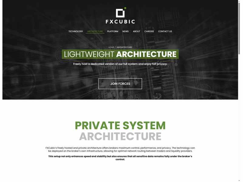 FXCubic dedicated system architecture
